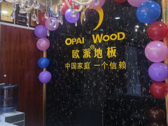 溫嶺城南歐派地板專(zhuān)賣(mài)店11.18特惠活動(dòng)