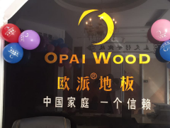 揚(yáng)中歐派地板專(zhuān)賣(mài)店11.18特惠活動(dòng)