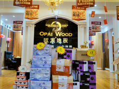 陜西安康歐派地板專(zhuān)賣(mài)店11.18特惠活動(dòng)