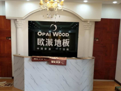 陜西城固歐派地板專(zhuān)賣(mài)店11.18特惠活動(dòng)