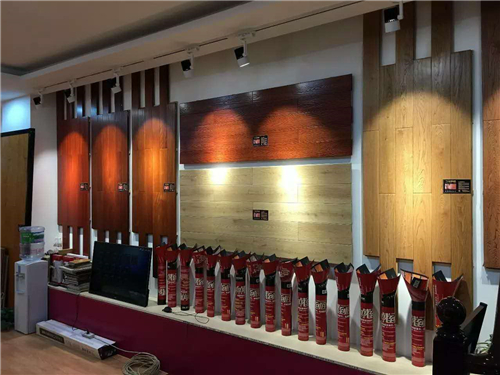 歐派地板團(tuán)購(gòu)嘉年華