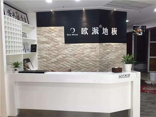 歐派地板江西九江店開業