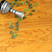 OPD-FS05 三層地?zé)岬匕?/></a>
					<a href=